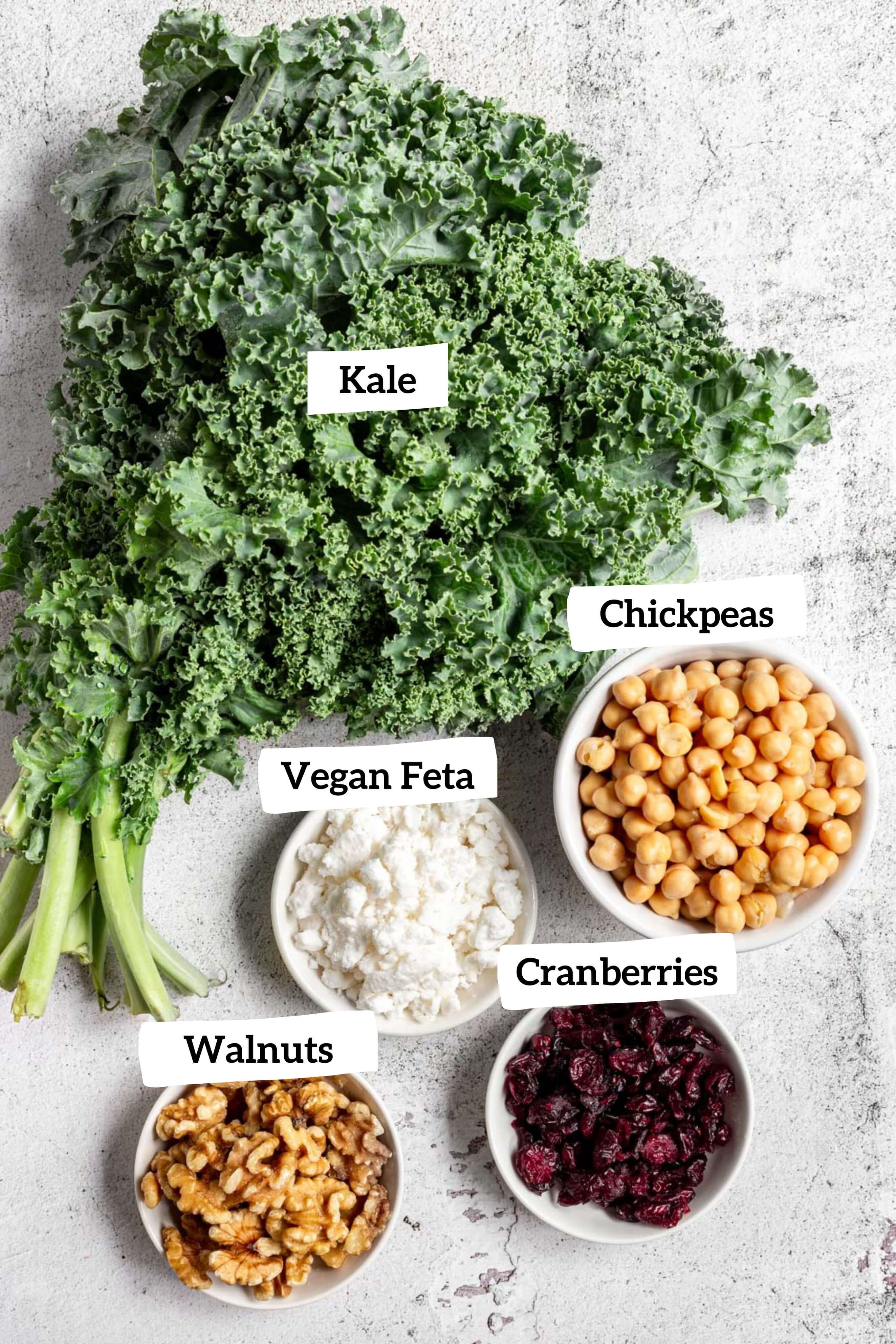 Kale Salad with Cranberries and Chickpeas
